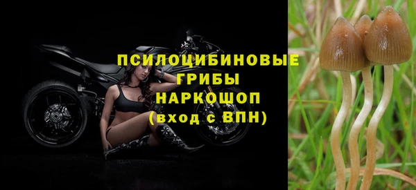 MESCALINE Абаза